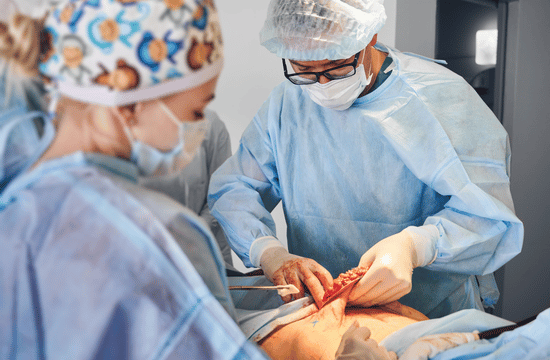 אנטומיית הבטן – מה באמת נמתח במהלך ניתוח מתיחת בטן?